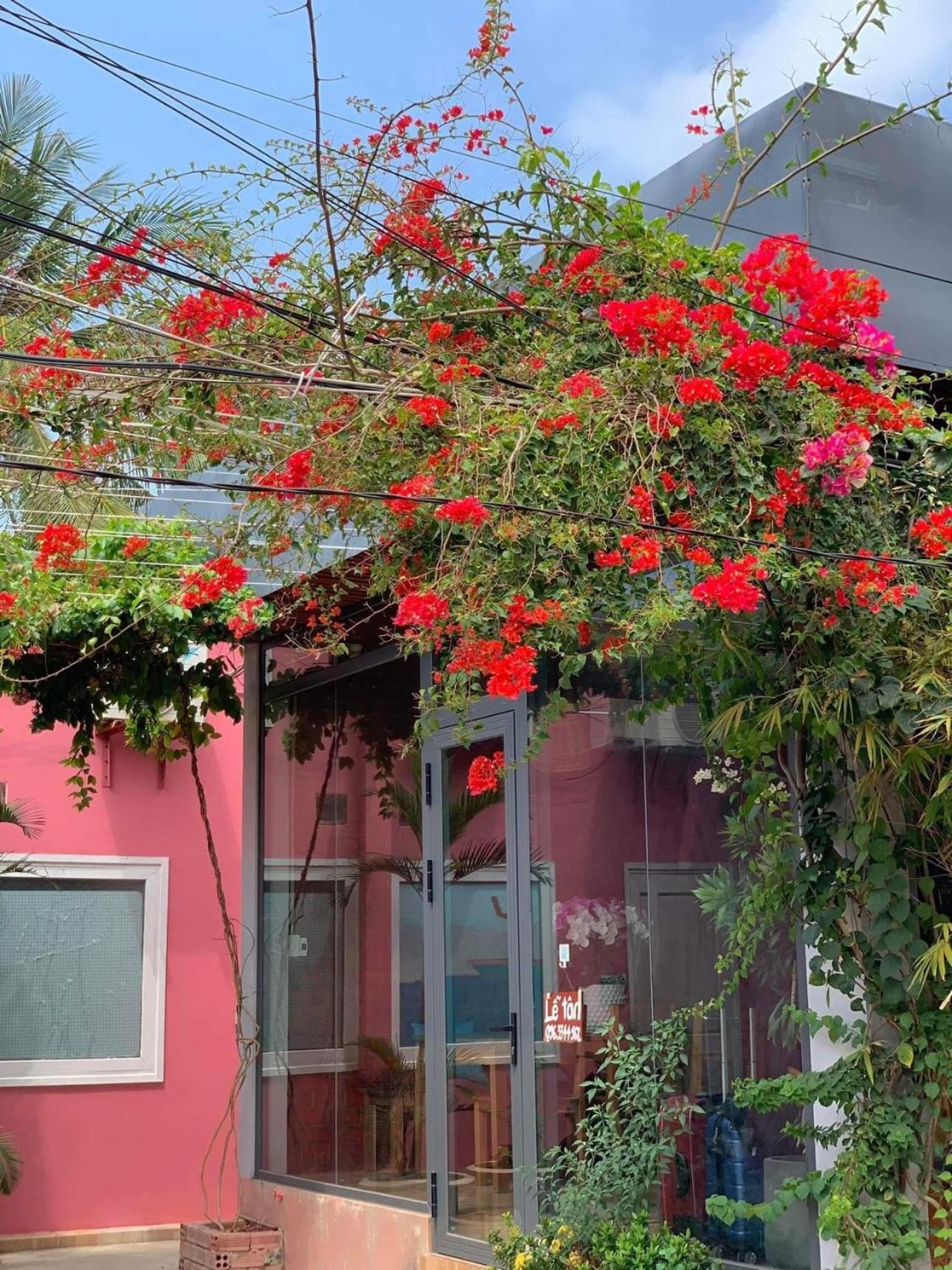 Chill House By The Beach Phú Quốc Eksteriør billede